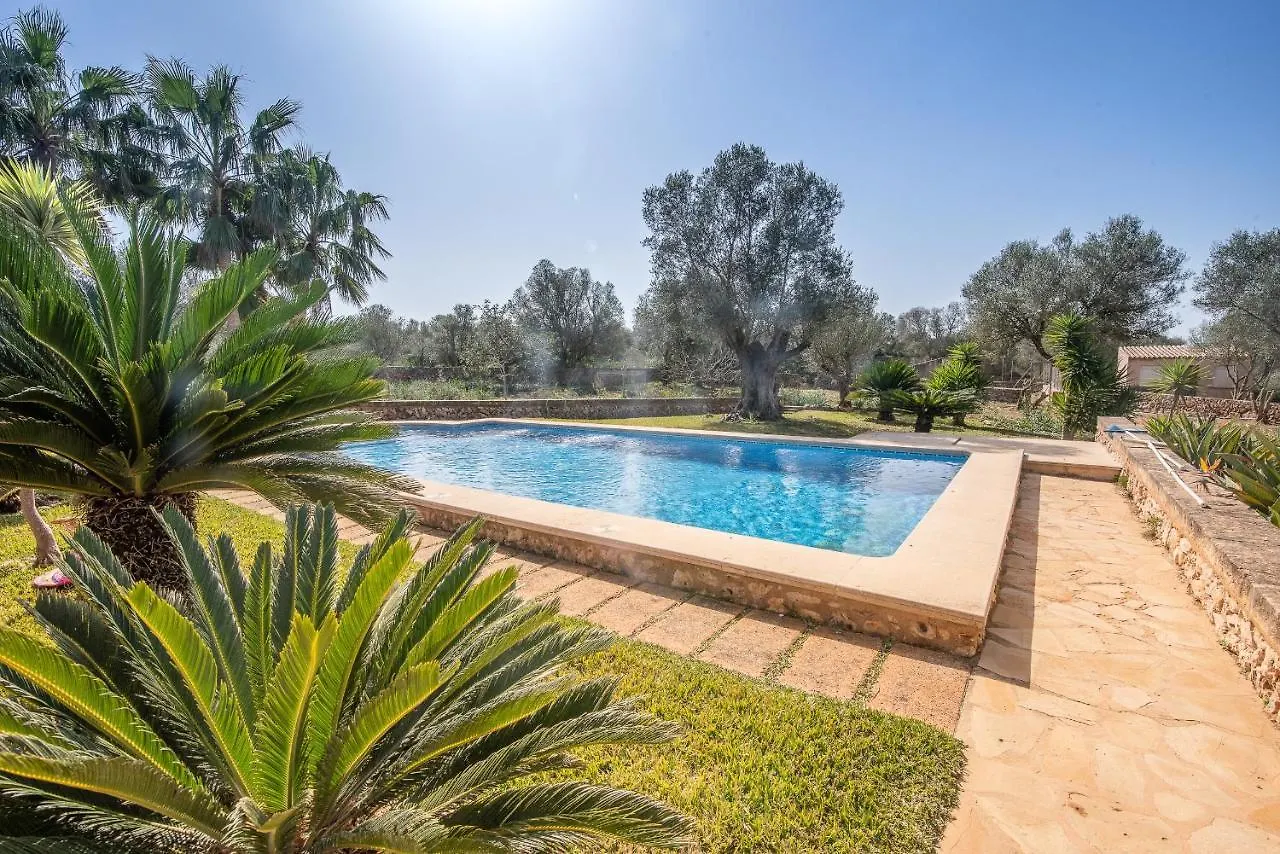 Villa Palea Campos  Campos (Mallorca)