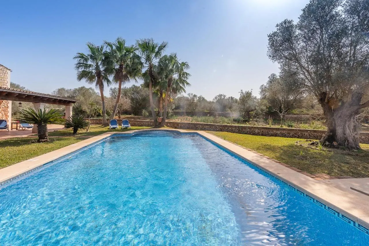 Villa Palea Campos  Spain