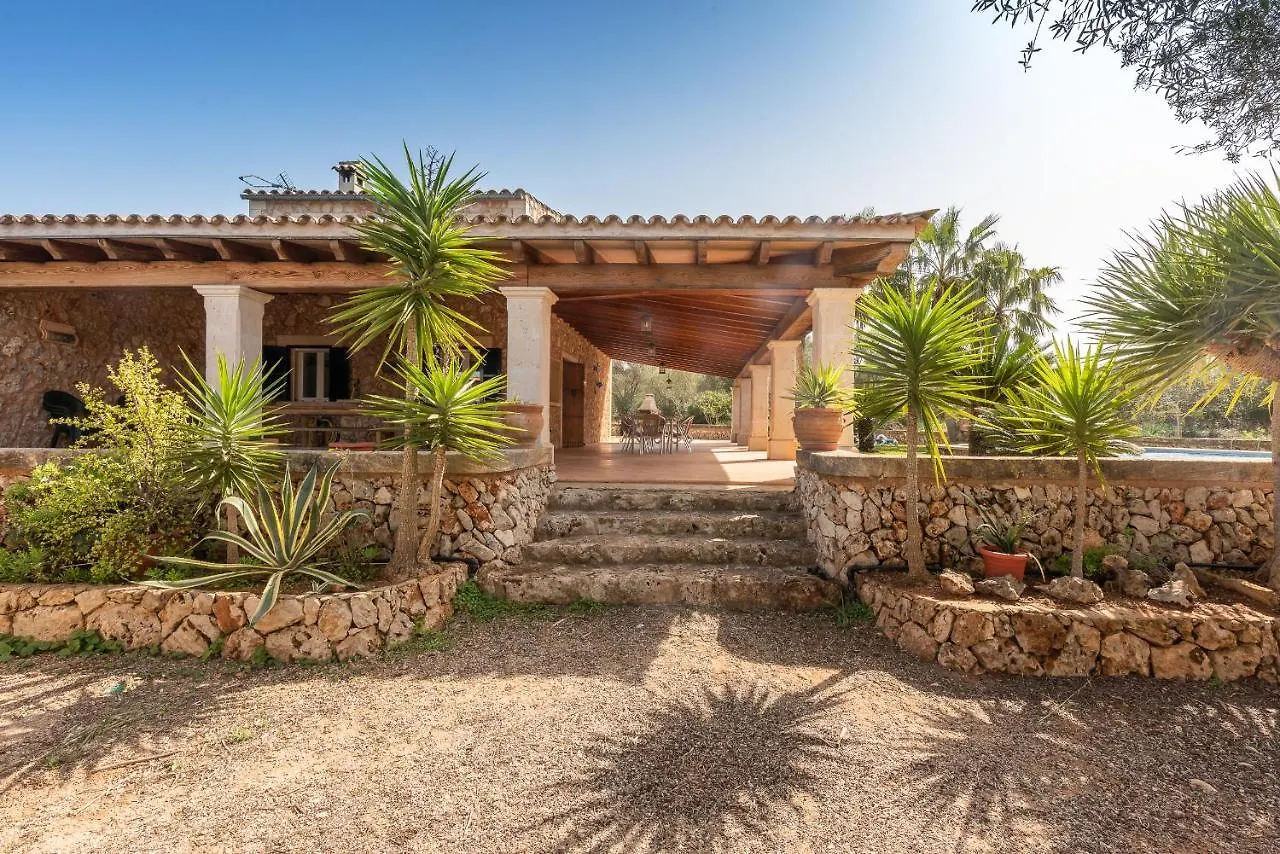 Villa Palea Campos  Spain